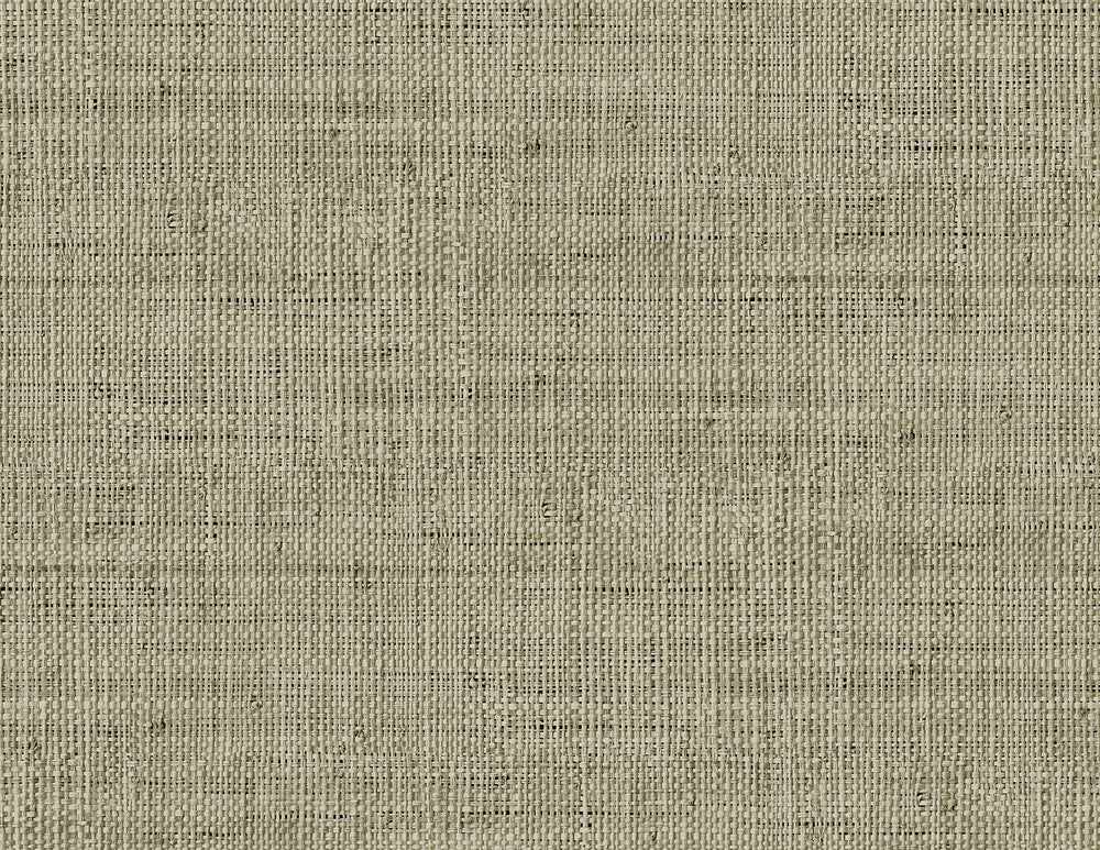 Wild Bind Taupe by Seabrook Wallpaper Raffia United States 60.75 20.87" 27" - Fabric Carolina -