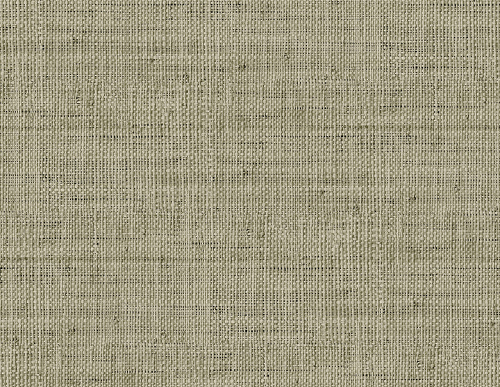 Wild Bind Taupe by Seabrook Wallpaper Raffia United States 60.75 20.87" 27" - Fabric Carolina -