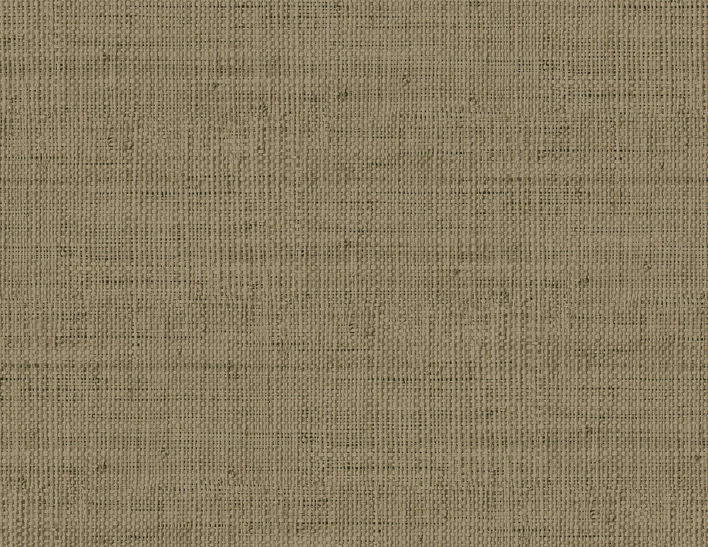 Wild Bind Cafe Latte by Seabrook Wallpaper Raffia United States 60.75 20.87" 27" - Fabric Carolina -