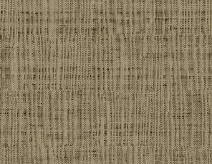 Wild Bind Cafe Latte by Seabrook Wallpaper Raffia United States 60.75 20.87" 27" - Fabric Carolina -