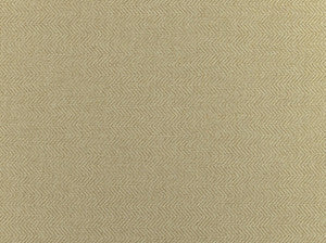 Racer Raffia 13 by Covington Fabric