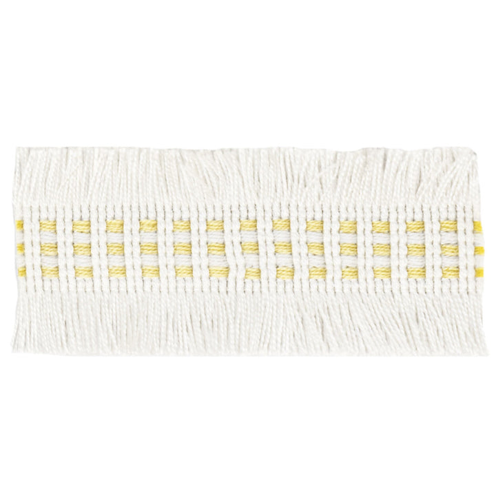 Racine 2 Champagne by Stout Trim VISIONS OF COLOR TRIM 100%ACR TURKEY PERFORMANCE RATED FABRIC FLAME RETARDANT-U.F.A.C. CLASS 1 CATB 117-2013 WYZENBEEK 42 000 DOUBLE RUB WEAR TEST (HEAVY DUTY) Horizontal: 0.375 and Vertical: 0.000 1.63 in - Fabric Carolina -