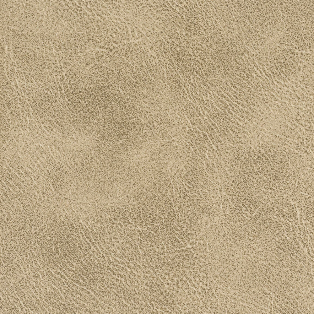 Radnor 1 Toffee by Stout Fabric LEATHER LOOKS IV 100%POL CHINA FLAME RETARDANT-U.F.A.C. CLASS 1 CATB 117-2013 WYZENBEEK 48 000 DOUBLE RUB WEAR TEST (HEAVY DUTY) Horizontal: 0.000 and Vertical: 0.000 54 in - Fabric Carolina -