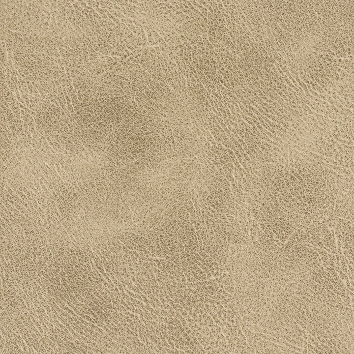Radnor 1 Toffee by Stout Fabric LEATHER LOOKS IV 100%POL CHINA FLAME RETARDANT-U.F.A.C. CLASS 1 CATB 117-2013 WYZENBEEK 48 000 DOUBLE RUB WEAR TEST (HEAVY DUTY) Horizontal: 0.000 and Vertical: 0.000 54 in - Fabric Carolina -