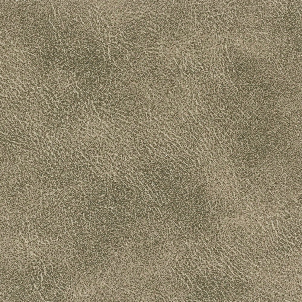 Radnor 3 Flint by Stout Fabric LEATHER LOOKS IV 100%POL CHINA PERFORMANCE RATED FABRIC FLAME RETARDANT-U.F.A.C. CLASS 1 FLAME RETARDANT-N.F.P.A. 260A CLASS 1 CATB 117-2013 WYZENBEEK 100 000 DOUBLE RUB WEAR TEST (HEAVY DUTY) Horizontal: 0 and Vertical: 0 54 in - Fabric Carolina -
