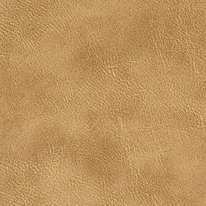 Radnor 4 Acorn by Stout Fabric LEATHER LOOKS IV 100%POL CHINA PERFORMANCE RATED FABRIC FLAME RETARDANT-U.F.A.C. CLASS 1 FLAME RETARDANT-N.F.P.A. 260A CLASS 1 CATB 117-2013 WYZENBEEK 100 000 DOUBLE RUB WEAR TEST (HEAVY DUTY) Horizontal: 0 and Vertical: 0 54 in - Fabric Carolina -