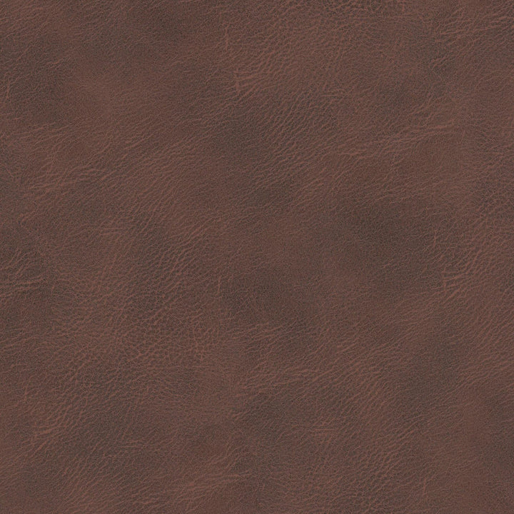 Radnor 5 Brandy by Stout Fabric Stout Fabric Radnor 5 BrandyFabric Leather Looks Vi 87%Pvc 13%Pol China </p><p>Repeat: H: 0, V: 12.75 54 in - Fabric Carolina -