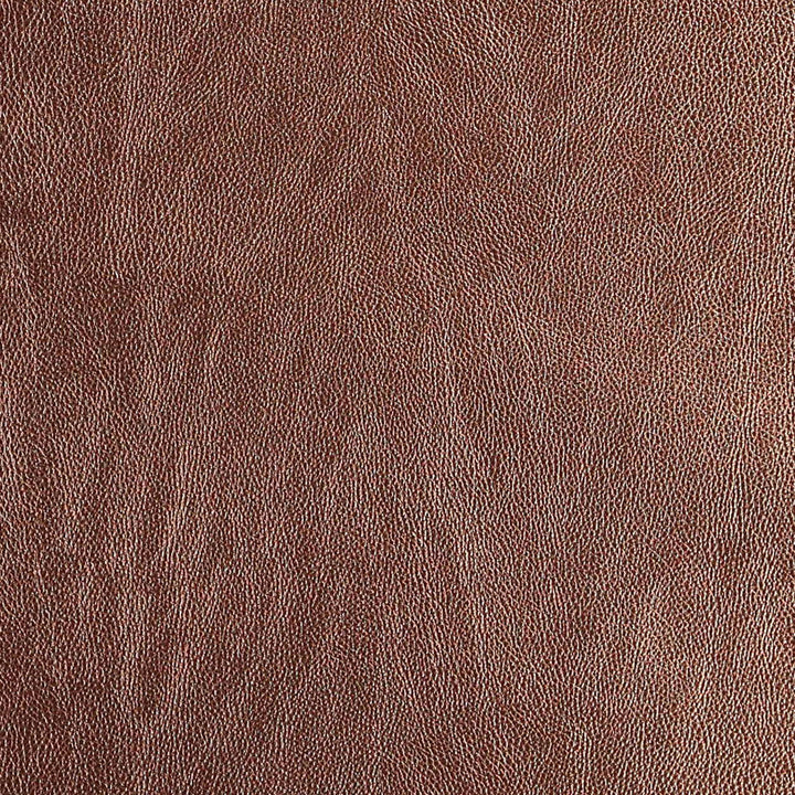 Rafiki 28J7091 by JF Fabric Tannery Untamed Book 66% Polyvinyl Chloride, 26% Polyester, 5% Cotton, 3% Polyurethane Turkey 140000 Horizontal: and Vertical: 54 - Fabric Carolina -