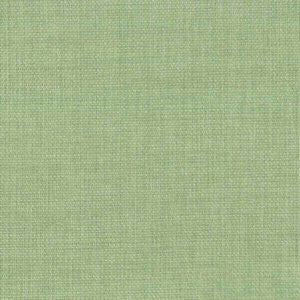 Rally Palm by Norbar Fabric ATRIUM 100% POLYESTER WITH ACRYLIC S. KOREA 55 - Fabric Carolina -