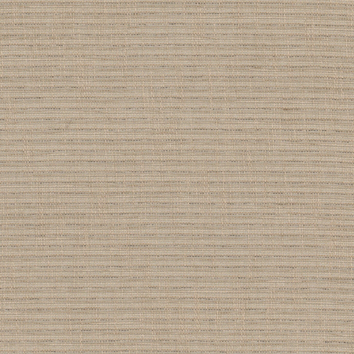 Ralphie 1 Driftwood by Stout Fabric Stout Fabric Ralphie 1 DriftwoodFabric Color My Window Pewter/Taupe 100%Pol Turkey </p><p>Repeat: H: 0, V: 0 54 in - Fabric Carolina -