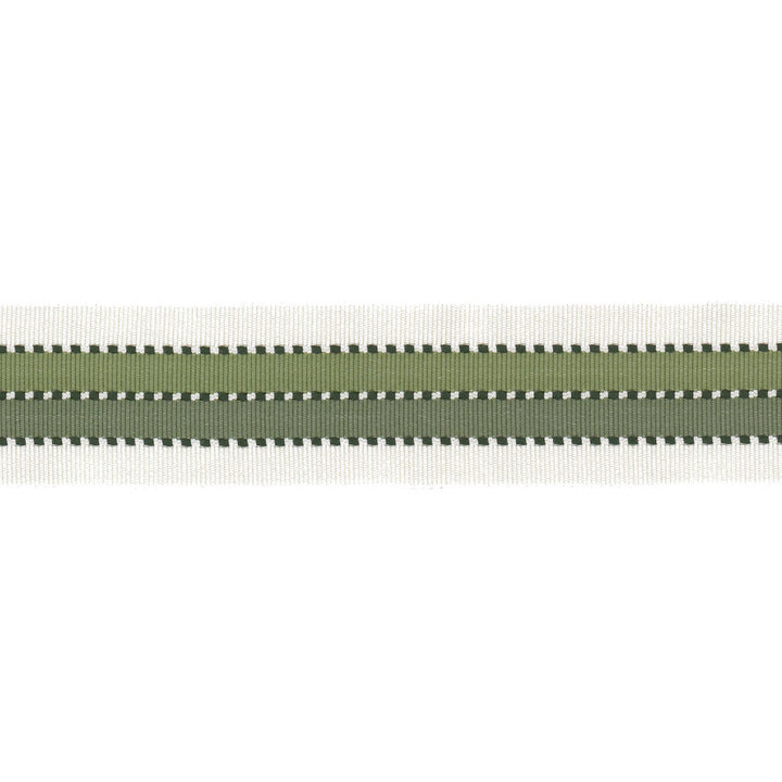 Ramada Tape 6 Moss by Stout Trim Stout Trim Ramada Tape 6 MossTrim NEW TRADITIONS TRIM 95%SVI 5%COT CHINA </p><p>Repeat: H: 0.000, V: 0.000 2 in - Fabric Carolina -