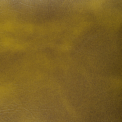 Kravet Contract Upholstery RAMBLER.130.0 Upholstery PVC - ARTIFICIAL LEATHER - 100% China </p><p>Repeat: H: , V: 27.5 21 - My Fabric Connection -