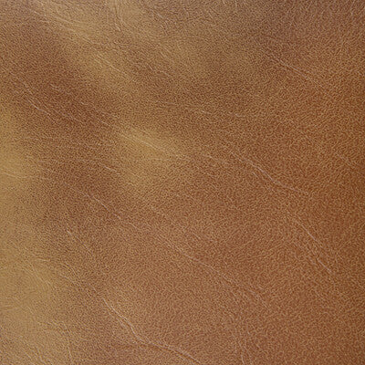 Kravet Contract Upholstery RAMBLER.166.0 Upholstery PVC - ARTIFICIAL LEATHER - 100% China </p><p>Repeat: H: , V: 27.5 21 - My Fabric Connection -