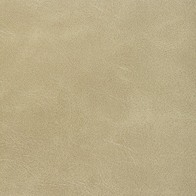 Kravet Contract Upholstery RAMBLER.16.0 Upholstery PVC - ARTIFICIAL LEATHER - 100% China </p><p>Repeat: H: , V: 27.5 21 - My Fabric Connection -
