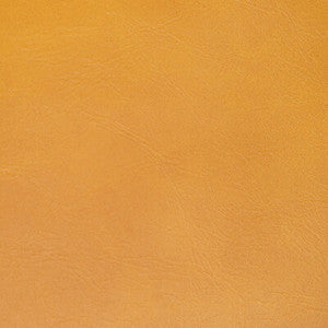 Rambler Saffron RAMBLER.4.0 by Kravet Contract Fabric