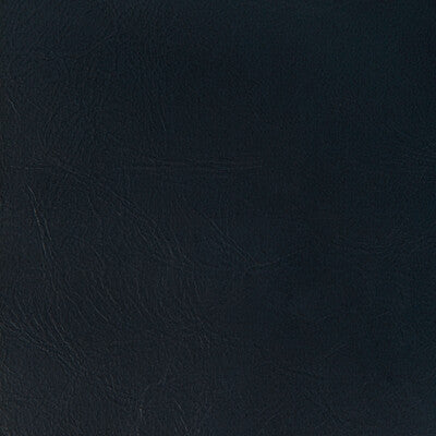 Kravet Contract Upholstery RAMBLER.50.0 Upholstery PVC - ARTIFICIAL LEATHER - 100% China </p><p>Repeat: H: , V: 27.5 21 - My Fabric Connection -
