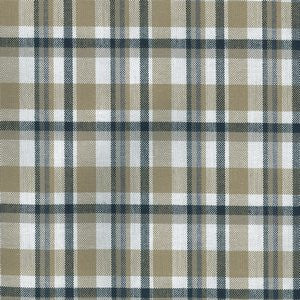 Ramble Sandstone 118 by Norbar Fabric See Sample 100% COTTON INDIA 30,000 WYZENBEEK 2"H 2"V 54 - Fabric Carolina -