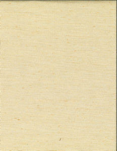 Ramos Champagne 06 by Norbar Fabric