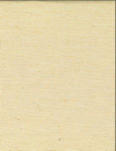 Ramos Champagne 06 by Norbar Fabric