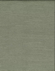 Ramos Taupe 22 by Norbar Fabric KENT 100% POLYESTER INDIA 54" - Fabric Carolina -
