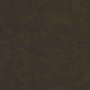 Randolph Arabica by Norbar Fabric