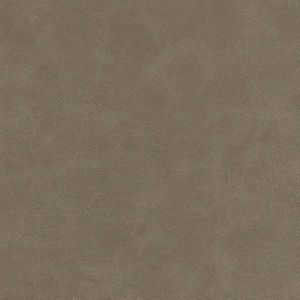 Randolph Ermine by Norbar Fabric
