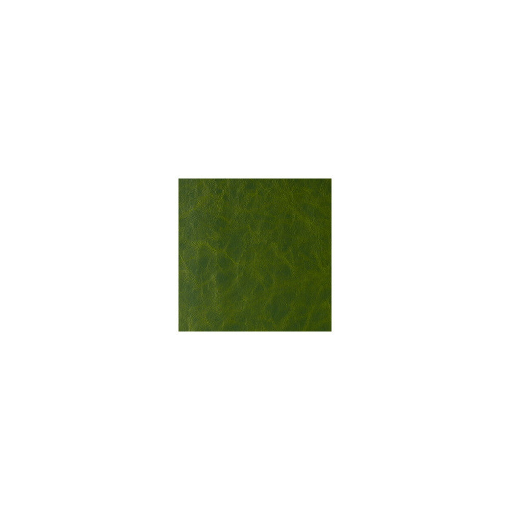 Randwick Jungle Love by Kravet Design Fabric PERFORMANCE STA KLEEN POLYURETHANE - 100% China HEAVY Horizontal: and Vertical: 54 - Fabric Carolina -