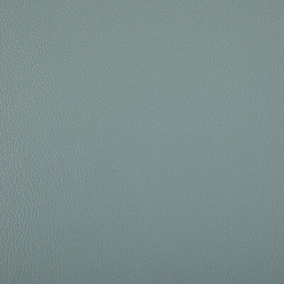 Kravet Contract Upholstery RAND.113.0 Upholstery POLYURETHANE - 100% China </p><p>Repeat: H: , V: 27.5 21 - My Fabric Connection -