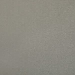 Rand Porcini RAND.11.0 by Kravet Contract Fabric