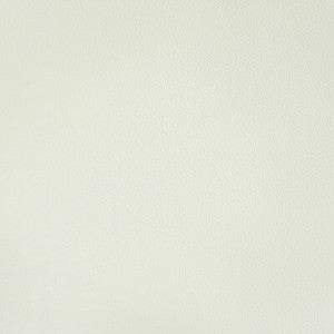 Rand Gesso RAND.1.0 by Kravet Contract Fabric