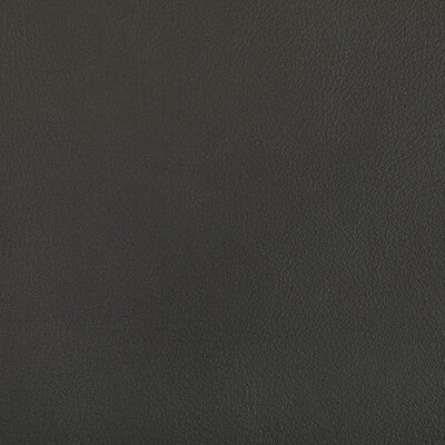 Kravet Contract Upholstery RAND.21.0 Upholstery POLYURETHANE - 100% China </p><p>Repeat: H: , V: 27.5 21 - My Fabric Connection -
