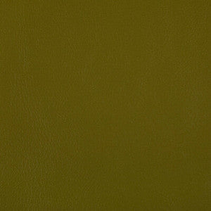Rand Wasabi RAND.23.0 by Kravet Contract Fabric