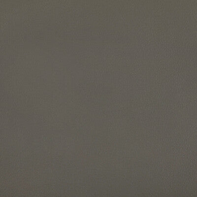 Kravet Contract Upholstery RAND.52.0 Upholstery POLYURETHANE - 100% China </p><p>Repeat: H: , V: 27.5 21 - My Fabric Connection -