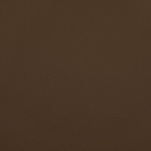 Rand Cognac RAND.6.0 by Kravet Contract Fabric