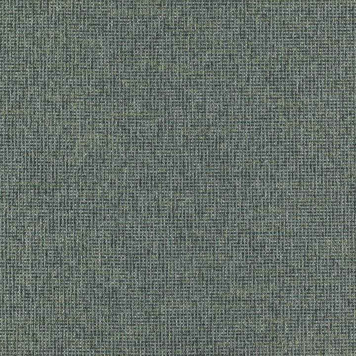 Ranger 66J7351 by JF Designer Fabric Winning Weaves VI - Woven Book 90% Polyester, 10% Viscose India 45000 Horizontal: and Vertical: 57 - Swanky Fabrics -