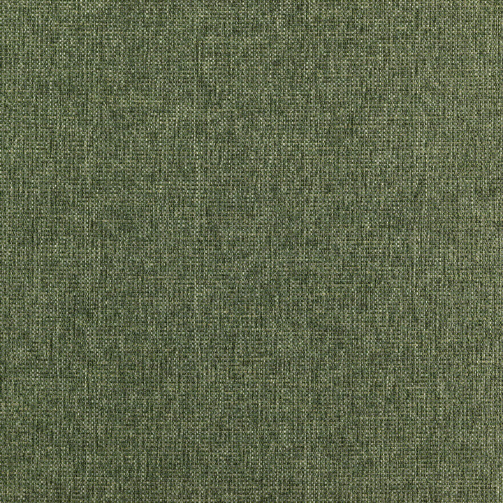 RANGER 78J7351 by JF Designer Fabric Winning Weaves VI - Woven Book 90% Polyester, 10% Viscose India  Horizontal:  and Vertical:  57  - Swanky Fabrics -