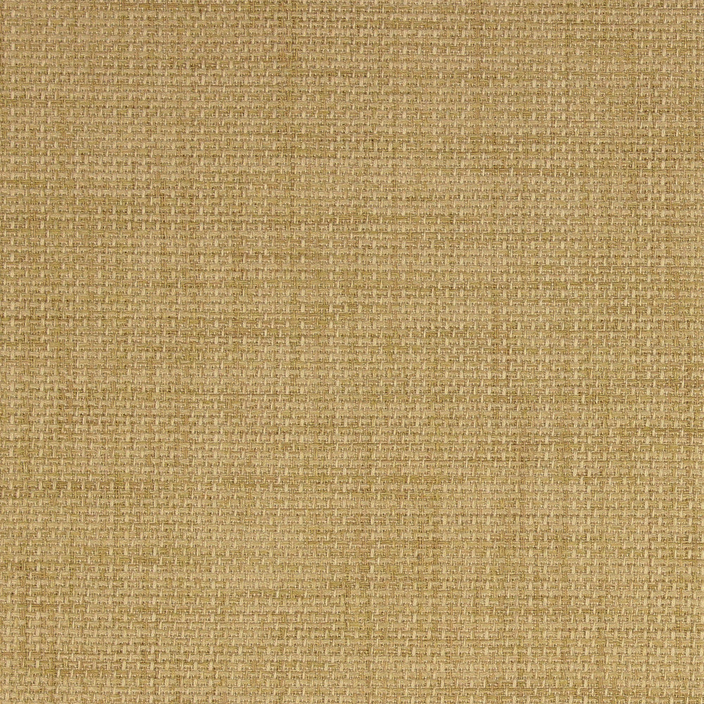 Rave Birch by Richloom Fabric See sample 100% Polyester w/Acrylic Backing USA or Imported 15K </p><p>Repeat: Solid 56" - Fabric Carolina -