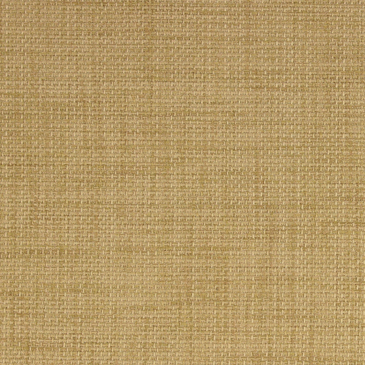 Rave Birch by Richloom Fabric See sample 100% Polyester w/Acrylic Backing USA or Imported 15K </p><p>Repeat: Solid 56" - Fabric Carolina -
