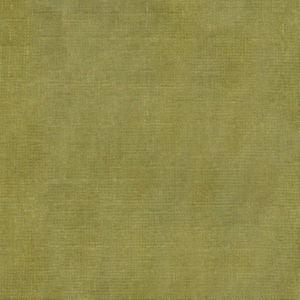 Rave Cactus by Norbar Designer Fabric OKIN 100% POLYESTER INDIA 54 - Swanky Fabrics -