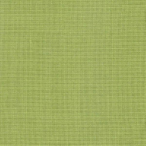 Rave Leaf by Norbar Fabric OKIN 100% POLYESTER INDIA 54 - Fabric Carolina -