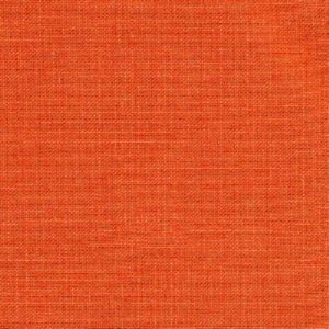 Rave Penny by Norbar Fabric OKIN 100% POLYESTER INDIA 54 - Fabric Carolina -