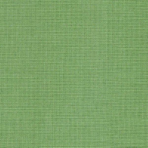 Rave Stem by Norbar Fabric OKIN 100% POLYESTER INDIA 54 - Fabric Carolina -