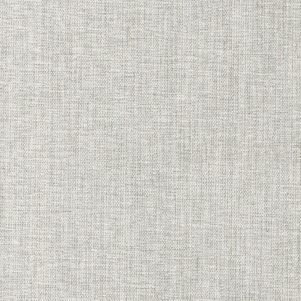 Raynard Silver by Magnolia Fabric our website for purchase 58 Viscose 42 Polyester CHINA 50,000 Horizontal: 0 and Vertical: 0 54" - Fabric Carolina -