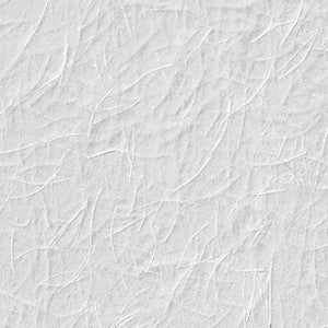 Wagtail White Paintable Armadillo Wallpaper by Brewster