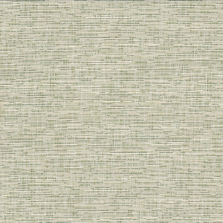 Record 1 Grass by Crypton Fabric Crypton Fabric Record 1 GrassFabric LIVING IS EASY CRYPTON SHADES OF COLOR 81%POL 19%SVI USA </p><p>Repeat: H: 0.000, V: 0.000 54 in - Fabric Carolina -