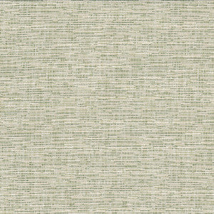 Record 1 Grass by Crypton Fabric