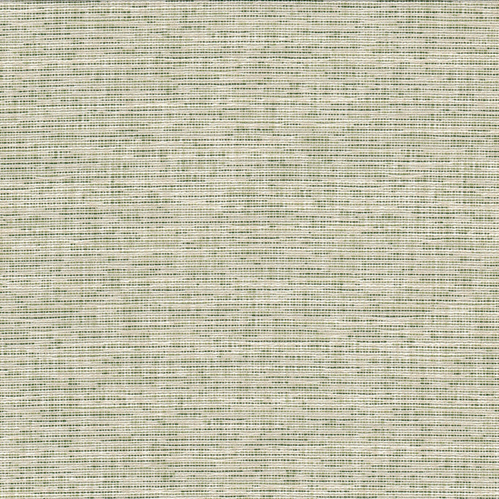 Record 1 Grass by Crypton Fabric Crypton Fabric Record 1 GrassFabric Living Is Easy Crypton Shades Of Color 81%Pol 19%Svi USA </p><p>Repeat: H: 0, V: 32.625 54 in - Fabric Carolina -