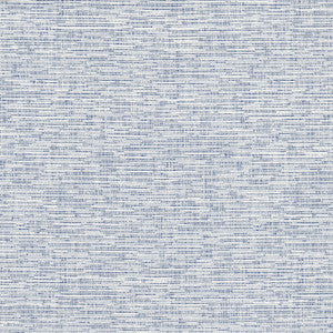 Record 2 Blue/White by Crypton Fabric