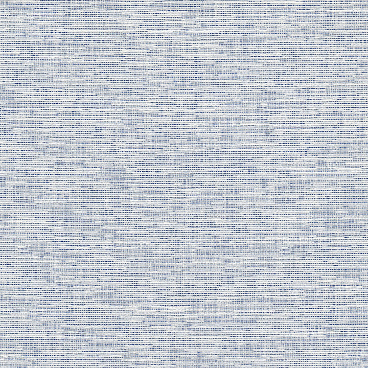 Record 2 Blue/White by Crypton Fabric Crypton Fabric Record 2 Blue/WhiteFabric LIVING IS EASY CRYPTON SHADES OF COLOR 81%POL 19%SVI USA </p><p>Repeat: H: 0.000, V: 0.000 54 in - Fabric Carolina -