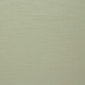 Regency Powder by Norbar Fabric REGENCY 100% POLYESTER INDIA 55 - Fabric Carolina -